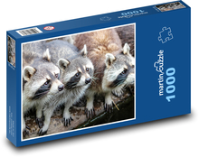 Waschbären - Tiere, Zoo Puzzle 1000 Teile - 60 x 46 cm