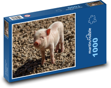 Ferkel, Schwein, Ferkel Puzzle 1000 Teile - 60 x 46 cm