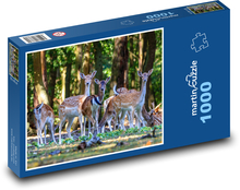 Príroda - divoká zver Puzzle 1000 dielikov - 60 x 46 cm