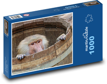 Małpa - pawian, zwierzę Puzzle 1000 elementów - 60x46 cm