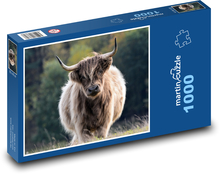 Dobytok, býk, rohy Puzzle 1000 dielikov - 60 x 46 cm