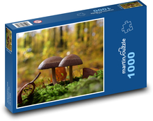 Huba - muchotrávka, les Puzzle 1000 dielikov - 60 x 46 cm 