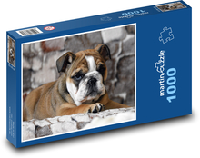 Štěně - buldok, pes Puzzle 1000 dílků - 60 x 46 cm