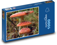 Muchotrávka, červená, huba, les Puzzle 1000 dielikov - 60 x 46 cm 