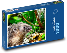 Igel - Tier, Wald Puzzle 1000 Teile - 60 x 46 cm