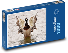 Káčer - vodný vták Puzzle 1000 dielikov - 60 x 46 cm