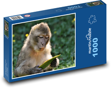 Barbarian macaque - monkey, animal Puzzle 1000 pieces - 60 x 46 cm 