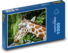 Giraffe - Afrika, Zoo Puzzle 1000 Teile - 60 x 46 cm