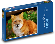 Fox - wild animal, forest Puzzle 1000 pieces - 60 x 46 cm 