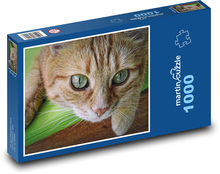 Tygrovaná kočka - kotě, domácí zvíře Puzzle 1000 dílků - 60 x 46 cm