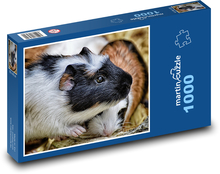 Morče - mláďata, hlodavec Puzzle 1000 dílků - 60 x 46 cm