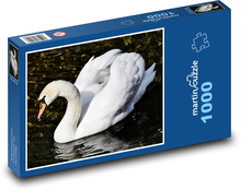 Bílá labuť - vodní pták Puzzle 1000 dílků - 60 x 46 cm