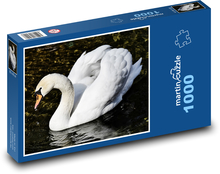 Biela labuť - vodný vták Puzzle 1000 dielikov - 60 x 46 cm 
