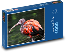 Ibis - mládě, pták Puzzle 1000 dílků - 60 x 46 cm