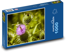 Hmyz na bodliaku Puzzle 1000 dielikov - 60 x 46 cm 