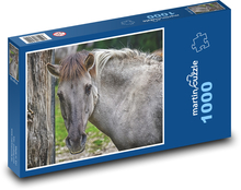 Divoký kôň - tarpan, zviera Puzzle 1000 dielikov - 60 x 46 cm 