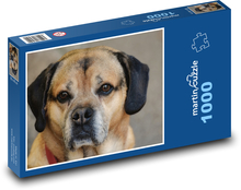 Pes - domácí zvíře, čtyřnohé Puzzle 1000 dílků - 60 x 46 cm