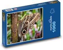 Motýl - hmyz, zvíře Puzzle 1000 dílků - 60 x 46 cm