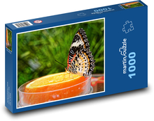 Motýľ - hmyz, krídla Puzzle 1000 dielikov - 60 x 46 cm 