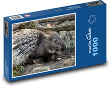 Dikobraz v zoologickej záhrade Puzzle 1000 dielikov - 60 x 46 cm