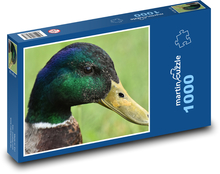 Kačer - vodní pták Puzzle 1000 dílků - 60 x 46 cm