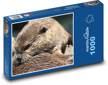 Wydra, ssak Puzzle 1000 elementów - 60x46 cm