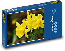 Narzissen - Frühling, Blume Puzzle 1000 Teile - 60 x 46 cm