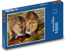 Nutrie - water rat, rodent Puzzle 1000 pieces - 60 x 46 cm 