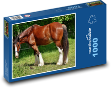 Pferd im Gehege Puzzle 1000 Teile - 60 x 46 cm