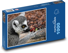 Lemur - małpa, zoo Puzzle 1000 elementów - 60x46 cm