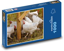 Slepice - drůbež, zvířata Puzzle 1000 dílků - 60 x 46 cm
