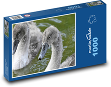Labute - mláďa, vodný vták Puzzle 1000 dielikov - 60 x 46 cm 