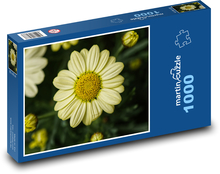 Yellow Daisies Puzzle 1000 pieces - 60 x 46 cm