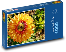 Žlutá jiřina - květ, rostlina Puzzle 1000 dílků - 60 x 46 cm