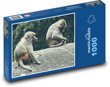 Paviáni - opice, zoo Puzzle 1000 dílků - 60 x 46 cm
