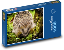 Igel - Säugetier, Tier Puzzle 1000 Teile - 60 x 46 cm