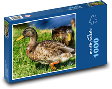 Krzyżówka - ptak, przyroda Puzzle 1000 elementów - 60x46 cm