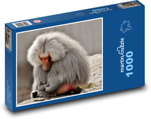 Pavián - opice, zoo Puzzle 1000 dielikov - 60 x 46 cm 