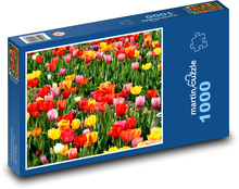 Tulipány - záhrada, jarné kvety Puzzle 1000 dielikov - 60 x 46 cm 