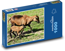 Ovce - jahňa, mláďa Puzzle 1000 dielikov - 60 x 46 cm 