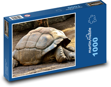 Obří želva - plaz, zoo Puzzle 1000 dílků - 60 x 46 cm