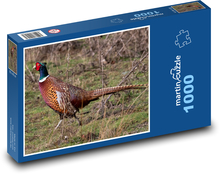 Bażant - ptak, zwierzę Puzzle 1000 elementów - 60x46 cm