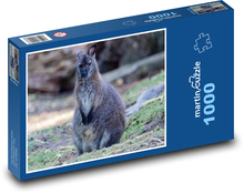 Kengura - zviera, Austrália Puzzle 1000 dielikov - 60 x 46 cm
