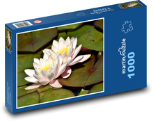 Water lilies - aquatic plants, pond Puzzle 1000 pieces - 60 x 46 cm