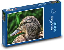 Divoká kačica - príroda, vták Puzzle 1000 dielikov - 60 x 46 cm 