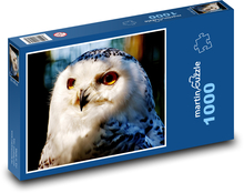 Sova sněžná - pták, zvíře Puzzle 1000 - 60x46 cm