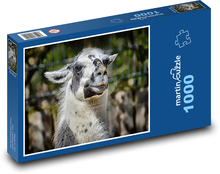 Lama - zvíře, zoo Puzzle 1000 dílků - 60 x 46 cm