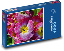 Primula - pierwiosnek, kwiat Puzzle 1000 elementów - 60x46 cm