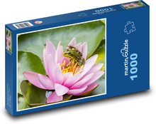 Žaba - lekno, rybník Puzzle 1000 dielikov - 60 x 46 cm 