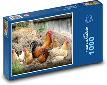 Kury - drób, kogut Puzzle 1000 elementów - 60x46 cm